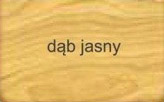 Jasny dąb