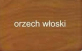 Orzech włoski